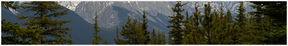 pedicures, manicures, squamish bc